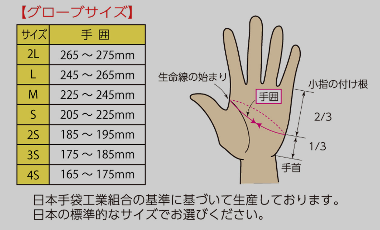 レーシンググローブサイズ表